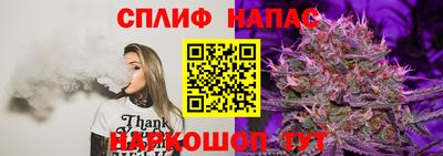 гашик Волгодонск
