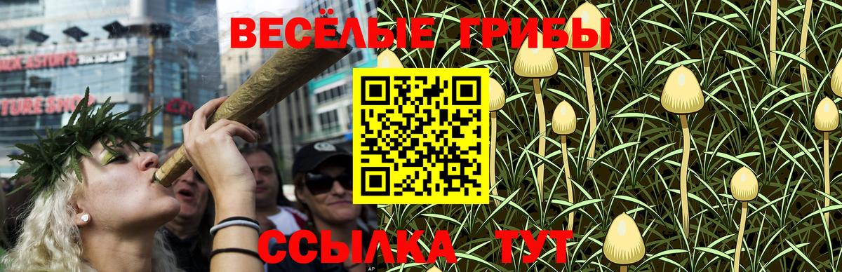 Галлюциногенные грибы Psilocybine cubensis  Вход с VPN  Междуреченск 