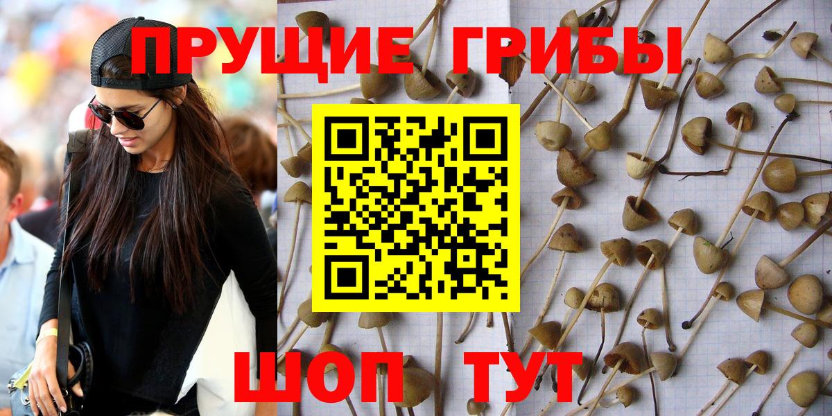 Галлюциногенные грибы Magic Shrooms Междуреченск